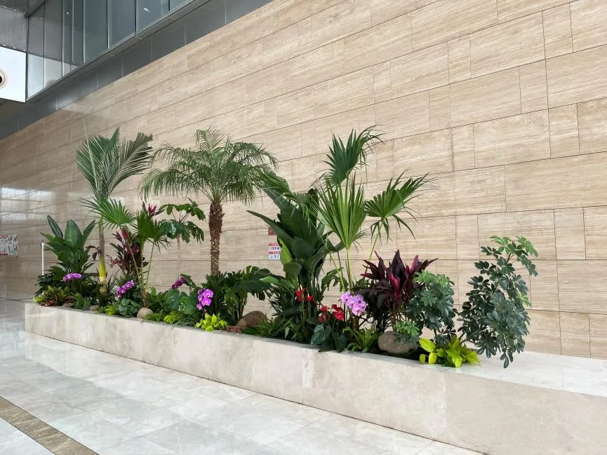 宁波绿植租摆,为办公场所注入生机与活力!