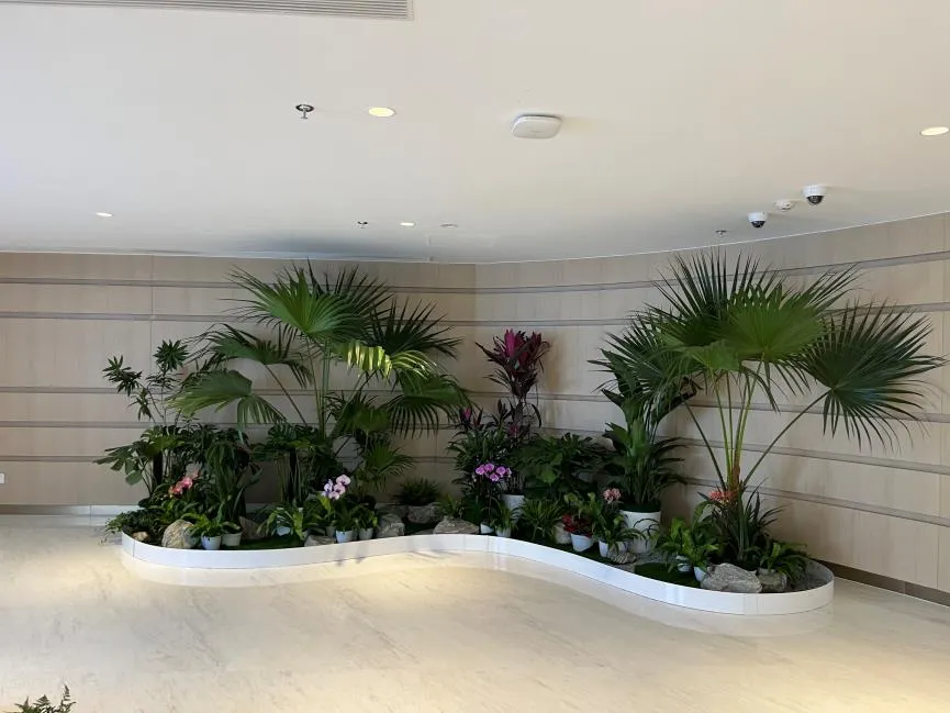 镇海绿植出租设计 镇海绿植出租设计